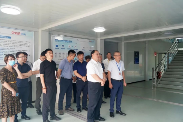 國家發展改革委綜合運輸研究所所長、研究員汪鳴率調研組到中偉欽州產業基地調研