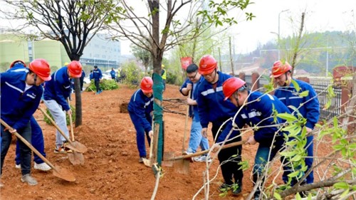 這個植樹節(jié)，共植一抹青綠，向著綠色未來出發(fā)！